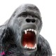 963 PLA171B_g Gorilla bocca aperta 130cm