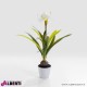 Pianta decorativa Amarillide D30xH78 cm