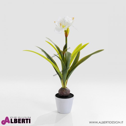 Pianta decorativa Amarillide D30xH78 cm