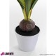 Pianta decorativa Amarillide D30xH78 cm