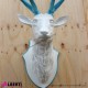 963 PLA323B^AZ_c Testa cervo bianco/azzurro 110 cm
