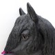 963 177G NERA_c Testa cavallo 108cm NERA L30P70H108