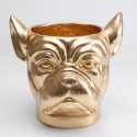 Portavaso testa bulldog oro| h 37.5