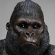 962 KA53430_c Porta rotolo carta igienica Sitting Gorilla 29,5x32,5x51h
