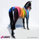 963 PLCAVALLOSTR_c Cavallo artistico in vetroresina con strisce di colore 205x240cm