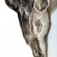 962 KA34395_d Teschio bisonte in metallo da muro Skull Horn, 76x65x28