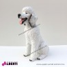 Cane barboncino bianco in vetro resina H62 cm