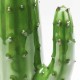 962 KA60523_b Cactus deco aranc.Flower7x10x28cm