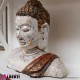 962 ANWIK014_c Mezzo busto Buddha terracotta H35