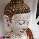 962 ANWIK014_e Mezzo busto Buddha terracotta H35