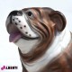 963 PLA483N_e Bulldog nat.100x180xH150 cm