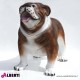 963 PLA483N_g Bulldog nat.100x180xH150 cm