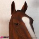 Testa cavallo marrone in vetro resina H80cm