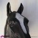 963 55G NERA_b Testa cavallo nera in vetro resina H80cm