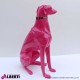 963 PLA490F_c Cane levriero fucsia 80x55x35cm